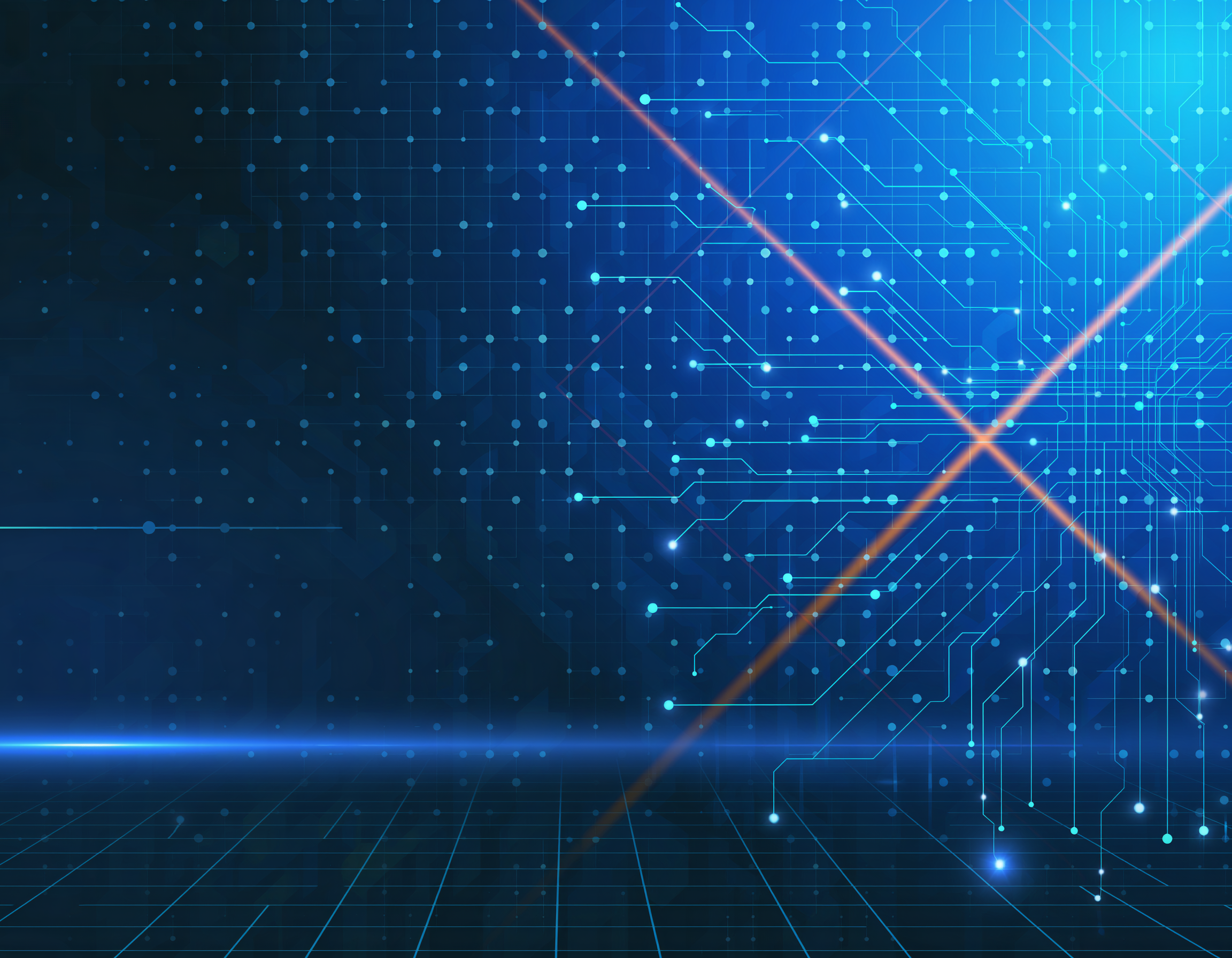 システム事業 - Endo Vision